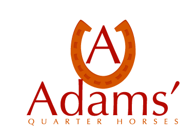 Adams Quarter Horse